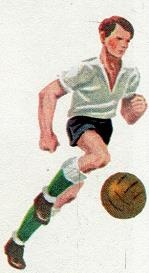 Иллюстрация к книге — Последний окножираф [imgc285.jpg]