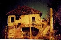 Иллюстрация к книге — Последний окножираф [imgc682.jpg]