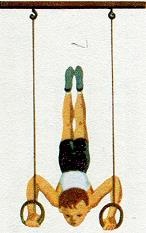 Иллюстрация к книге — Последний окножираф [imgcbc7.jpg]