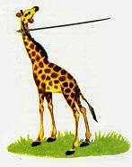 Иллюстрация к книге — Последний окножираф [imgdb03.jpg]