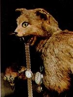 Иллюстрация к книге — Последний окножираф [imge38c.jpg]