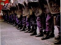 Иллюстрация к книге — Последний окножираф [imge8e1.jpg]