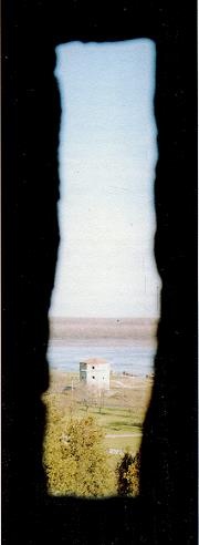 Иллюстрация к книге — Последний окножираф [imgf7ce.jpg]