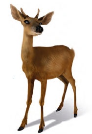 Иллюстрация к книге — Принцесса Настиль. Необыкновенные приключения в стране Фиалия [i_010.jpg]