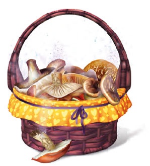 Иллюстрация к книге — Принцесса Настиль. Необыкновенные приключения в стране Фиалия [i_015.jpg]