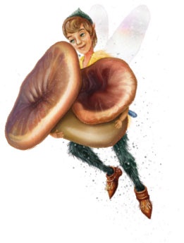 Иллюстрация к книге — Принцесса Настиль. Необыкновенные приключения в стране Фиалия [i_024.jpg]