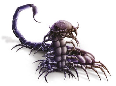 Иллюстрация к книге — Принцесса Настиль. Необыкновенные приключения в стране Фиалия [i_062.jpg]