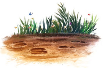 Иллюстрация к книге — Принцесса Настиль. Необыкновенные приключения в стране Фиалия [i_071.jpg]