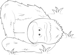 Иллюстрация к книге — Детский сон. Простые решения для родителей [i_003.jpg]