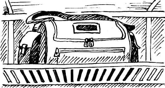 Иллюстрация к книге — Концерт для баяна с барабаном [i_023.jpg]