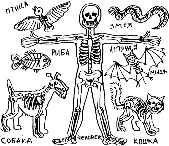 Иллюстрация к книге — Концерт для баяна с барабаном [i_056.jpg]