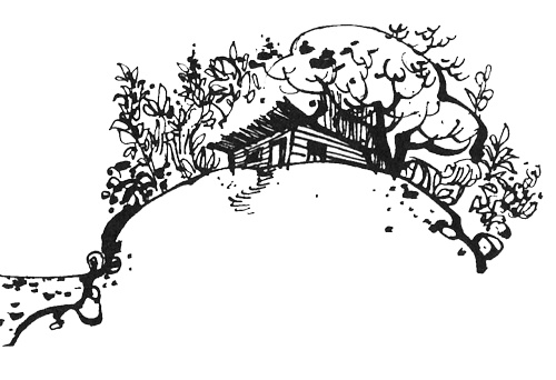 Иллюстрация к книге — Урмель, который приплыл на льдине [i_012.jpg]