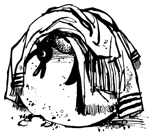 Иллюстрация к книге — Урмель, который приплыл на льдине [i_016.jpg]