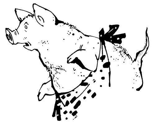 Иллюстрация к книге — Урмель, который приплыл на льдине [i_039.jpg]