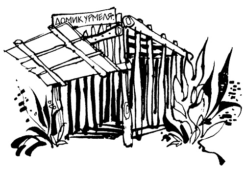 Иллюстрация к книге — Урмель, который приплыл на льдине [i_052.jpg]