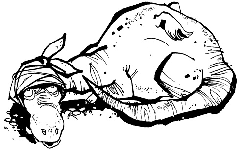 Иллюстрация к книге — Урмель, который приплыл на льдине [i_058.jpg]