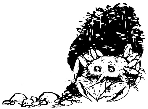 Иллюстрация к книге — Урмель, который приплыл на льдине [i_061.jpg]