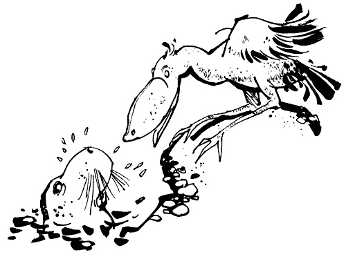 Иллюстрация к книге — Урмель, который приплыл на льдине [i_063.jpg]