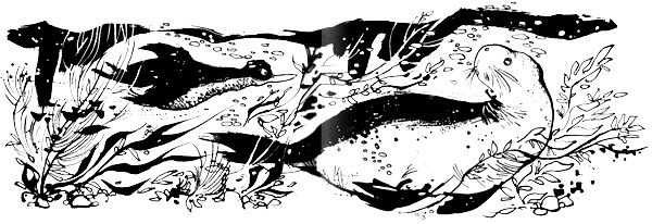 Иллюстрация к книге — Урмель, который приплыл на льдине [i_065.jpg]