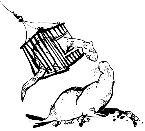 Иллюстрация к книге — Урмель, который приплыл на льдине [i_074.jpg]