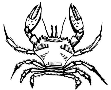 Иллюстрация к книге — Маяк на Омаровых рифах [i_019.jpg]