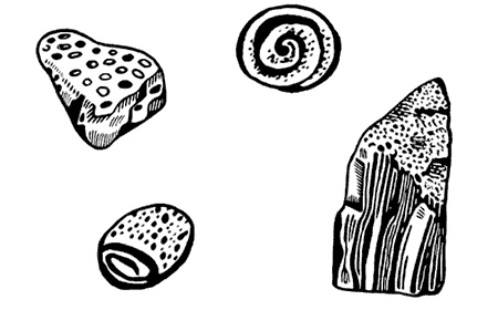 Иллюстрация к книге — Маяк на Омаровых рифах [i_050.jpg]