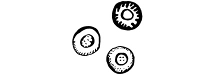 Иллюстрация к книге — Маяк на Омаровых рифах [i_057.jpg]