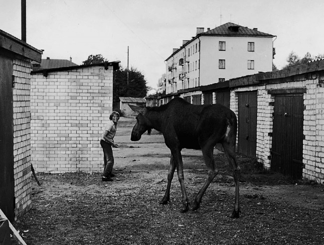 Иллюстрация к книге — Виденное наяву [i_046.jpg]