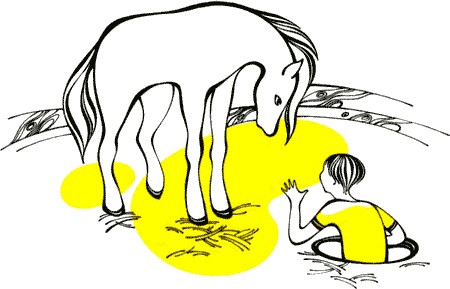 Иллюстрация к книге — Три сказки об Италии. Лошади, призраки и Чижик-Пыжик [img15.jpg]