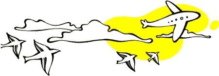 Иллюстрация к книге — Три сказки об Италии. Лошади, призраки и Чижик-Пыжик [img94.jpg]