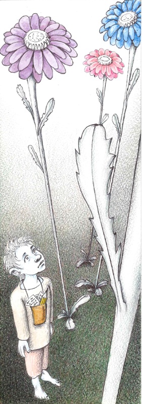 Иллюстрация к книге — Сердце Назиании [i_009.jpg]