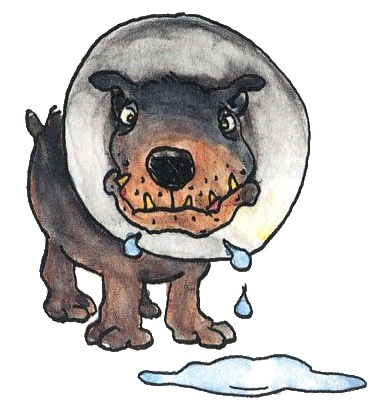 Иллюстрация к книге — Стелла и седьмая звезда. Вторая истина [i_006.jpg]