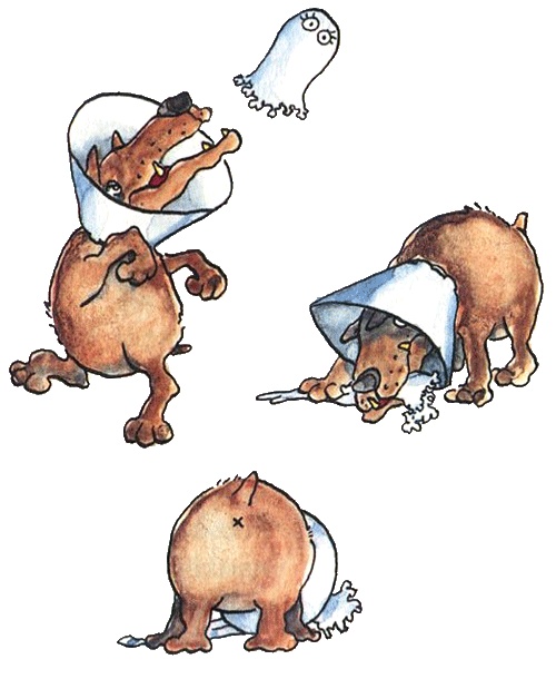 Иллюстрация к книге — Стелла и седьмая звезда. Вторая истина [i_010.jpg]