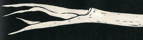 Иллюстрация к книге — Стелла и седьмая звезда. Вторая истина [i_040.jpg]