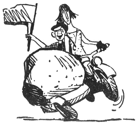 Иллюстрация к книге — Бега [i_028.jpg]