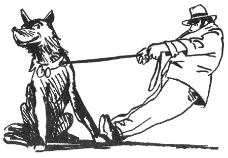 Иллюстрация к книге — Бега [i_029.jpg]