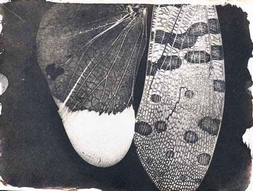 Иллюстрация к книге — Алексей Греков [_34.jpg]