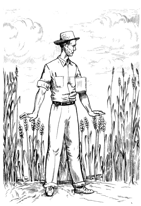 Иллюстрация к книге — Колумбы Вселенной (сборник) [_028.jpg]