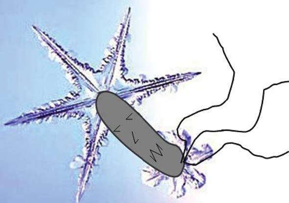 Иллюстрация к книге — Колумбы Вселенной (сборник) [i_019.jpg]