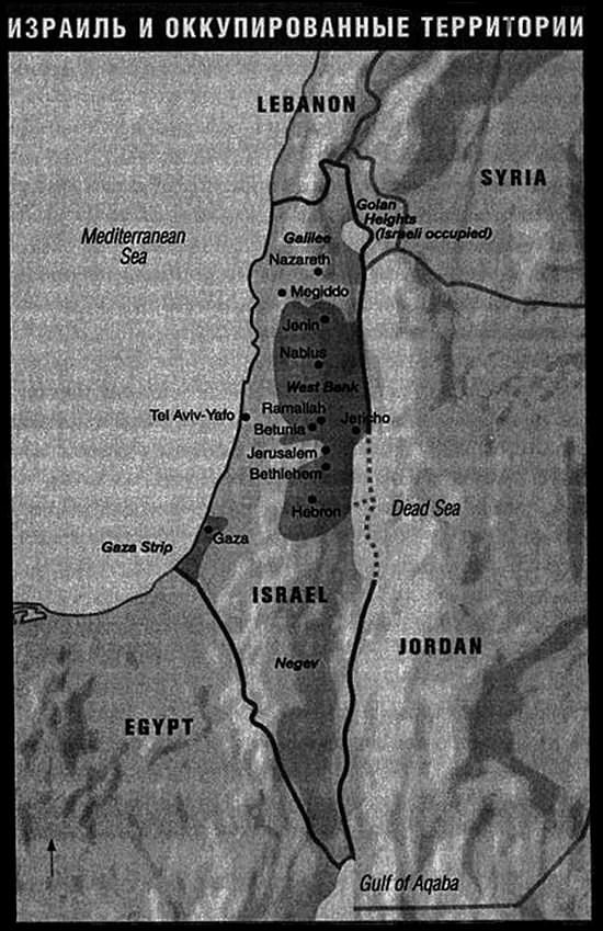 Иллюстрация к книге — Сын ХАМАС [i_003.jpg]