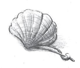 Иллюстрация к книге — Пойдем ловить чудовище! [i_050.jpg]