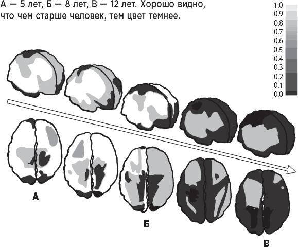 Иллюстрация к книге — Оригами для мозгов. Японская система развития интеллекта ребенка: 8 игр и 5 привычек [_3.jpg]