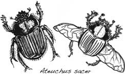 Иллюстрация к книге — Седьмая казнь [i_011.jpg]