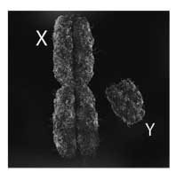 Иллюстрация к книге — Седьмая казнь [i_018.jpg]