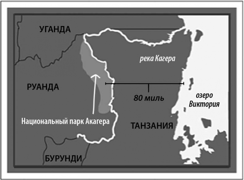 Иллюстрация к книге — Седьмая казнь [i_041.jpg]