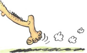 Иллюстрация к книге — Неандертальский мальчик в школе и дома [any2fbimgloader33.jpg]