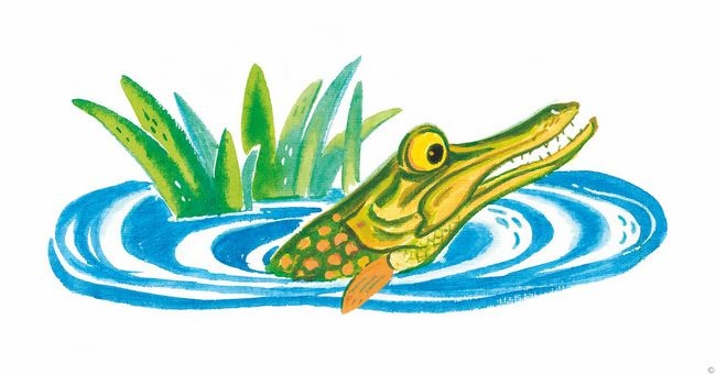 Иллюстрация к книге — Сказки. И про кошек, и про мышек… [i_025.jpg]