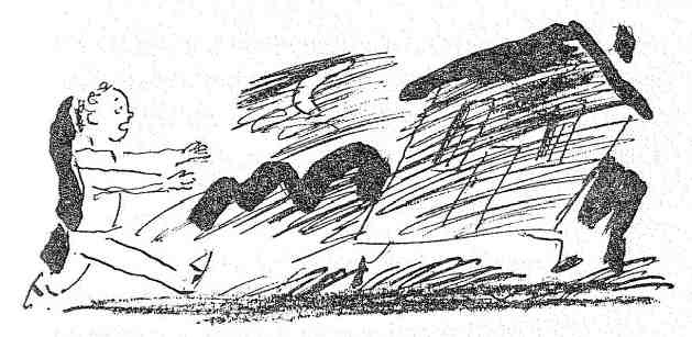 Иллюстрация к книге — Бесстрашный Пекка [i_003.jpg]