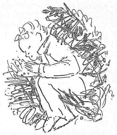 Иллюстрация к книге — Бесстрашный Пекка [i_008.jpg]