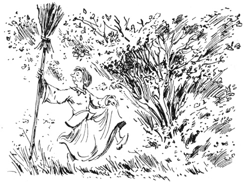 Иллюстрация к книге — Помело и волшебная шишечка от кровати [i_018.jpg]